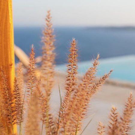 Birdhouse Private Luxury Suite Agios Ioannis Diakoftis Exterior foto
